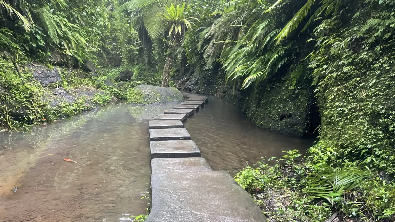自然风光
