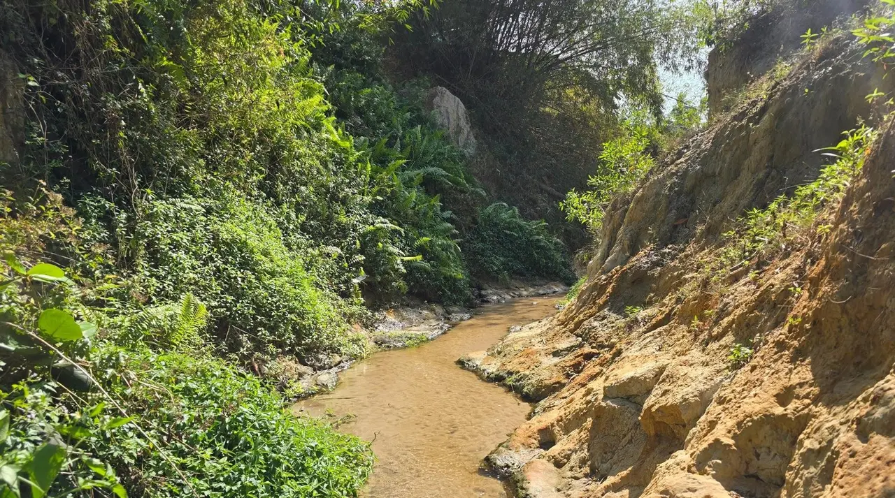 自然风光