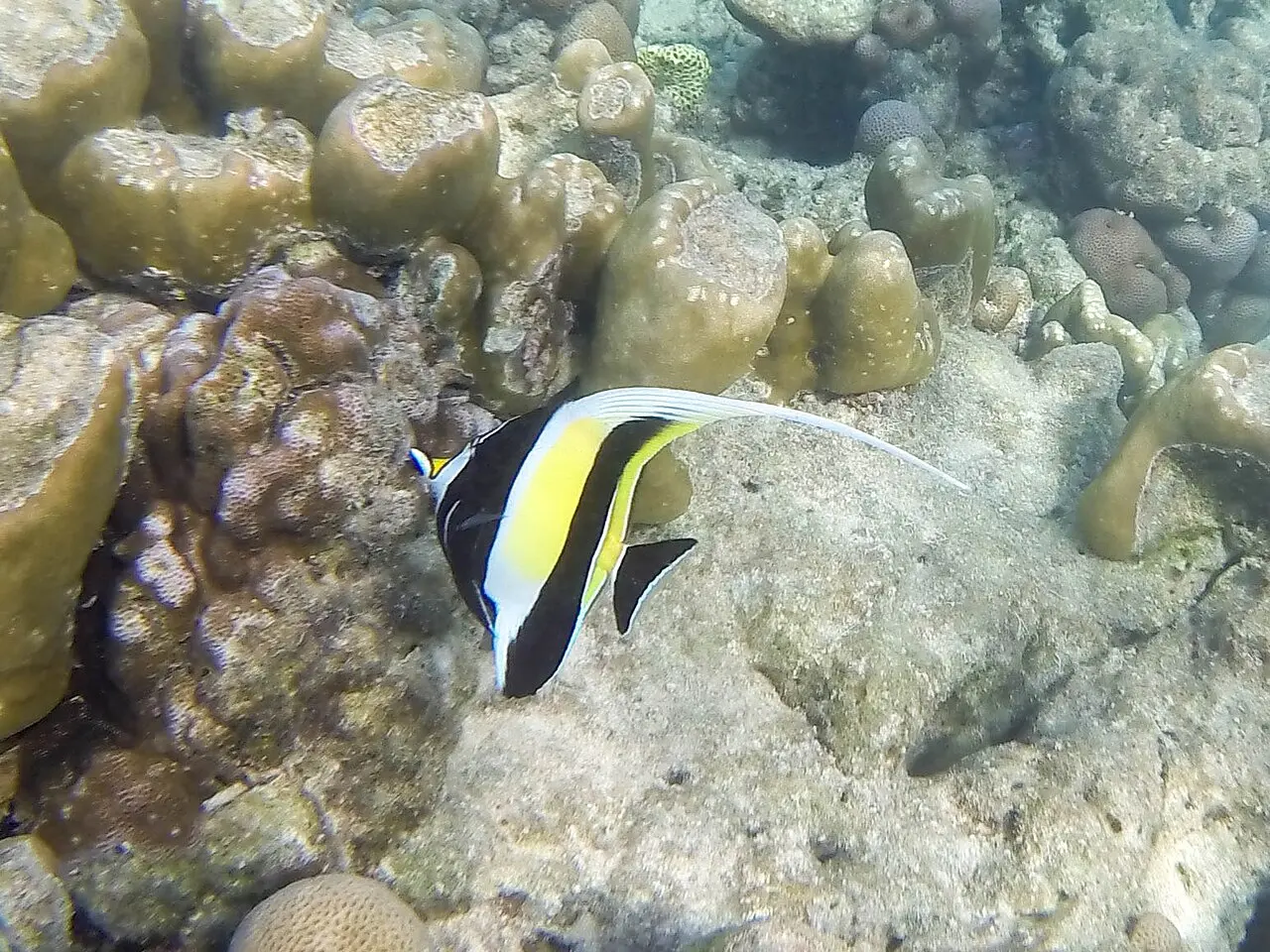 泰国海滩与海岸