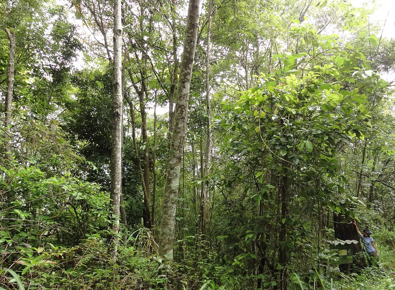 泰国自然风光